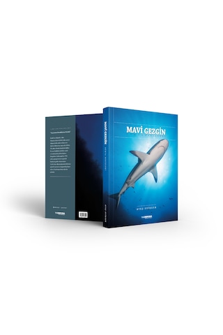 Mavi Gezgin - Dünya Denizleri