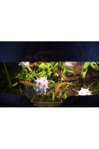 Yüzen Akvaryum Mayını Zincirli Dekoratif Aksesuar