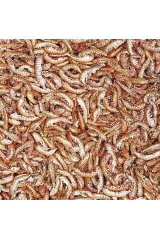 Tropical Gammarus - Karides 50 Gr