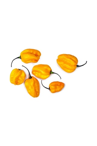 10+ Sarı Habanero Çok Acı Biber Tohumu Dünya'Nın En Acı Bib