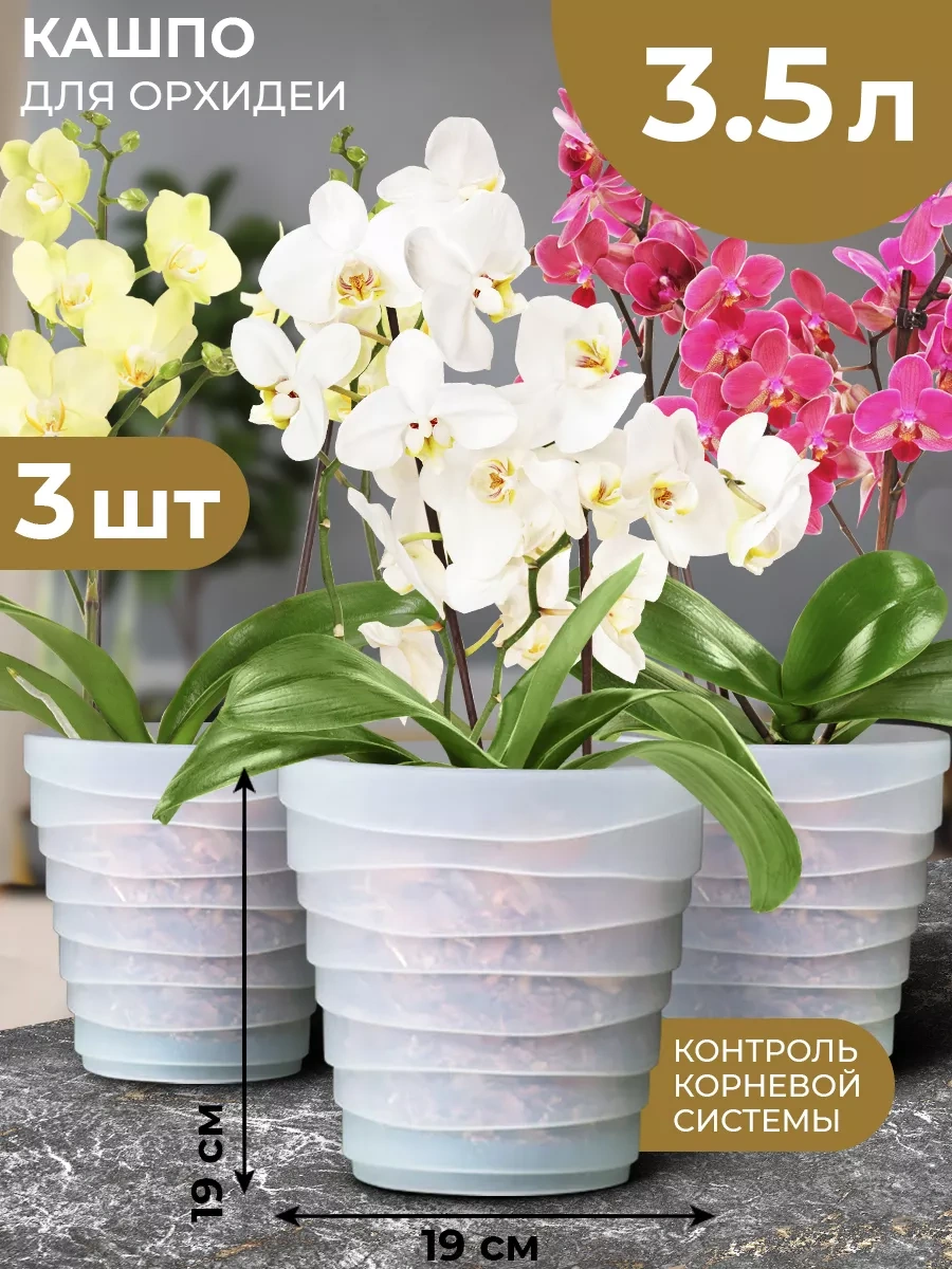 La Decoro Orkide Saksısı, Orkideler İçin Saksı, Orkide Saksıları 225950724