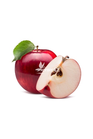 Elma Amasya Fidanı N11.489