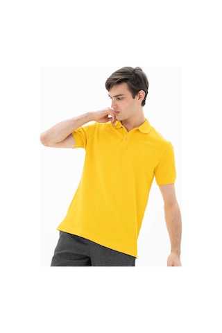 AR-MA Arma Erkek Polo Yaka Regular Fit T-shirt 001
