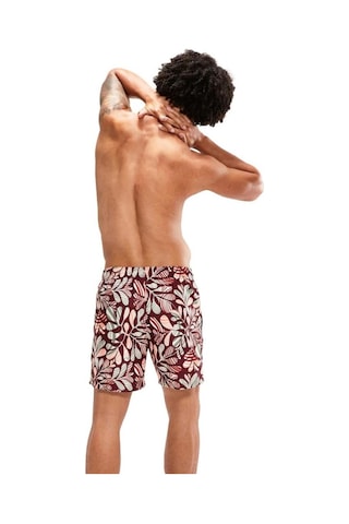 Speedo Print Leis Erkek Şort Mayo Bordo