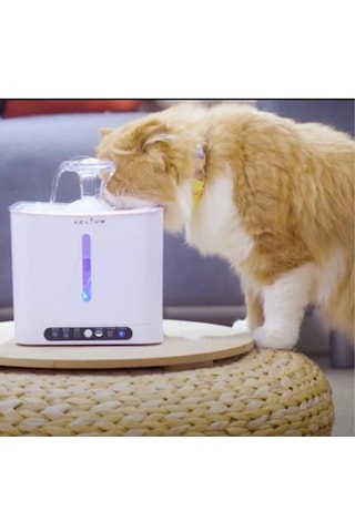 Aclıum Sensörlü Kedi Su Sebili