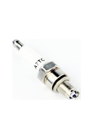 Kuba BlueBerry 50 Knt Buji 2 Adet