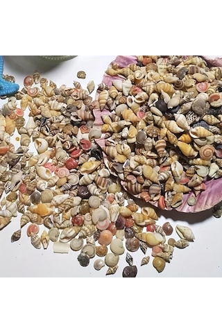 Willowhaven 120g Renkli Mini Reçin El Yapımı Deniz Kabuğu Kum Mix Akvaryum Dekor Dıy Tırnak Sanatı