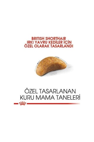 Royal Canin British Shorthair Yavru Kedi Maması 2 KG
