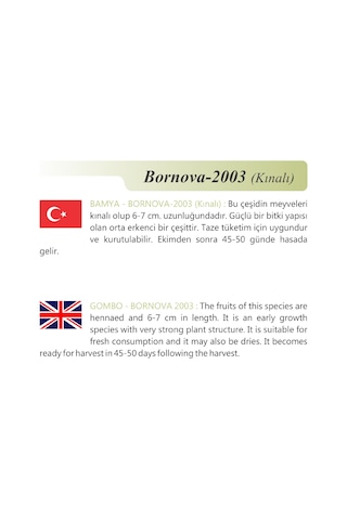 AGRodal Tarım Ata Tohumu Yerli Kınalı Bamya 100 Adet Tohum