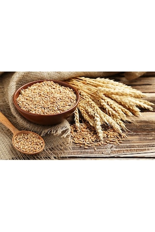 Armix Iz Element Kompleksi Combi ( Kombi )10 KG