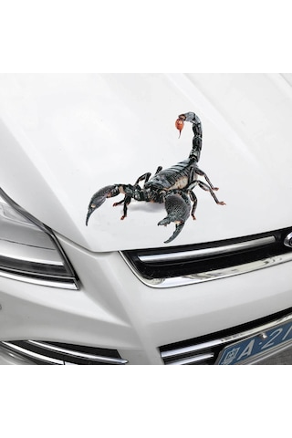 Yuntech01 A18 Akrep 3d Araba Sticker - Gerçekçi Hayvan Desenli, Dayanıklı Ve Kolay Kurulumlu Araba Dekorasyon Stickerı Tekli Paket