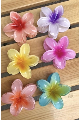 6 Adet Lotus Toka Renkli Kırılmaz Çok Renkli