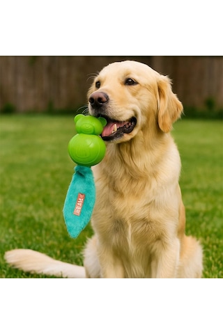 M-pets Sesli Teddy Kauçuk Köpek Oyuncağı 30cm Yeşil