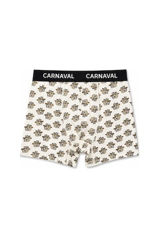 Carnaval Socks Carnaval Lazy Friends Erkek Boxer 3 Lü Set Çoklu