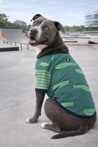 Alphadog Croc Orta-büyük Irk Köpek T-shirtü