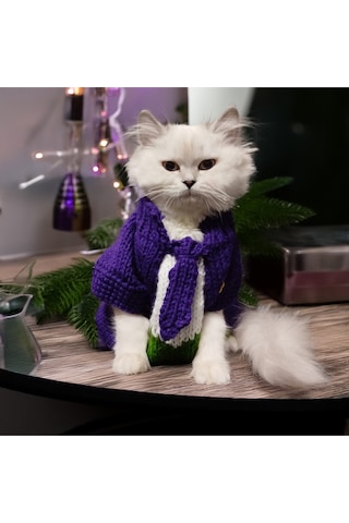 Kedi Ve Köpek İçin Mor Joker Kostümü