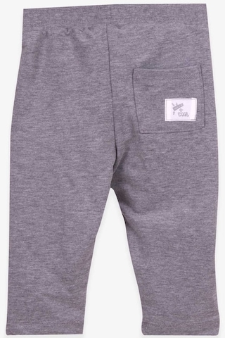 Breeze Torba Cepli Erkek Çocuk Eşofman Altı Gri Melanj (1-4 Yaş)