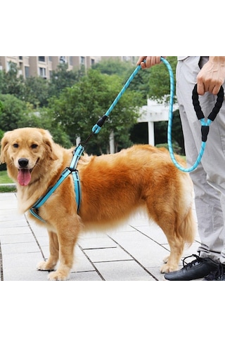 Buffer Reflektörlü Fosforlu Köpek Gezdirme Halatı Tasma Kayışı Metal Kancalı 130 CM Mavi