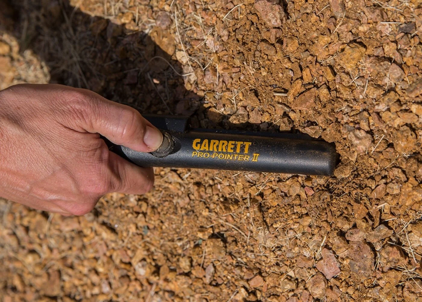 Garrett Pro-poınter 2