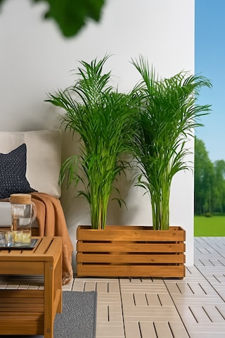 Masif Ahşap Dekorasyon Çiçeklik Saksılık 0 - 1 Kg