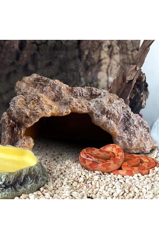 Sones L Sürüngen Simülasyonu Kayalar Saklanma Evi Kaplumbağa Şezlong