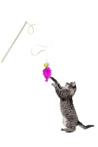 Everypet Ekonomik Kısa Saplı Kedi Oyun Oltası