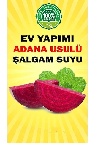 Organik Ev Yapımı Adana Usulü Şalgam Suyu 5 L
