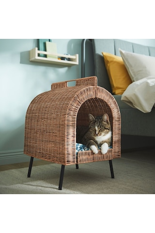 Utsadd Kedi Evi, Rattan