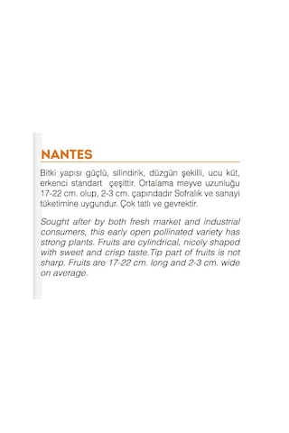 Ata Tohumu Yerli Doğal Havuç Tohumu 1000 Atet Tohum