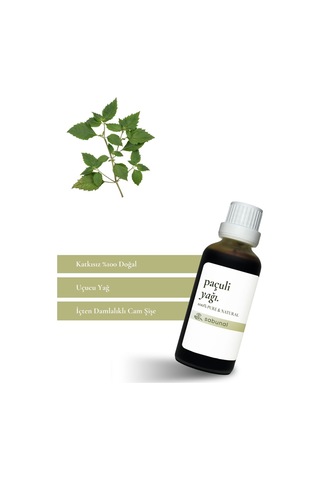 Sabunal Paçuli Yağı 50 ML - Aromaterapi ve Dengeleyici Yağ