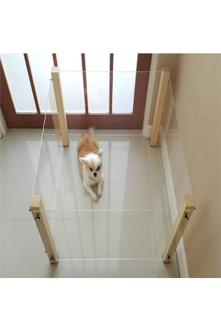 Pleksi Ahşap Köpek Çiti