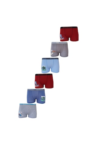Kota 6lı Erkek Çocuk Renkli Baskılı Boxer Külot 1005