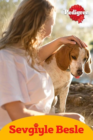 Köpekler İçin Tavuklu Konserve Yaş Mama 400 G