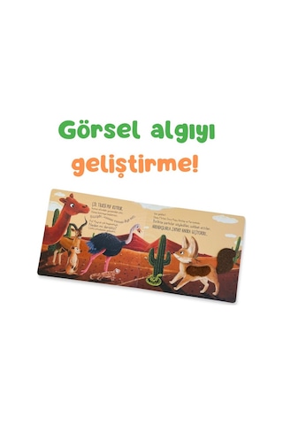 Sincap Kitap İlk Dokun Hisset Kitabım: Çöle Dokun - Melek Dinçer