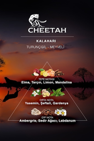 Cheetah Kalahari Erkek Parfüm EDP 100 ML