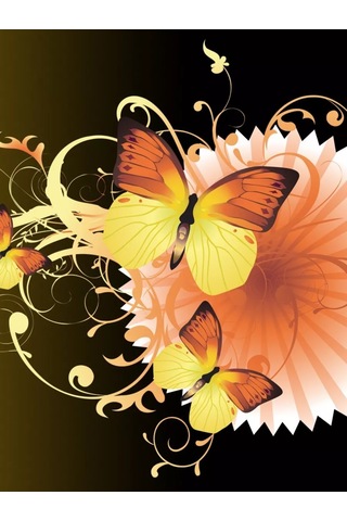 Gregorange 3d Dekoratif Kelebekler, İç Mekan Çıkartmaları, 12 Adet, Dekor 225302147 Gri