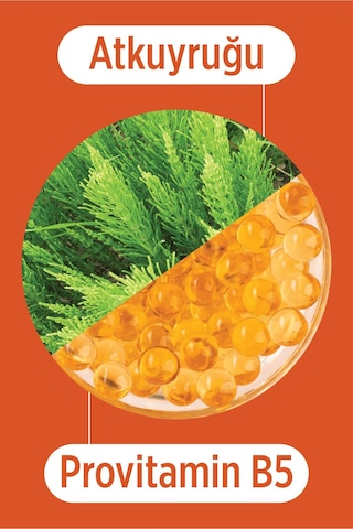 Selesta Life Atkuyruğu Bitki Özü Ve Provitamin B5 Özlü Uv Korumalı Sıvı Saç Bakım Kremi Yıpranmış Saçlar 200 Ml