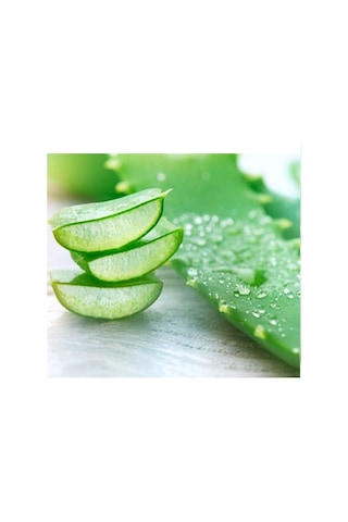 Lokman Aktar Aloe Vera Jel 500 ML