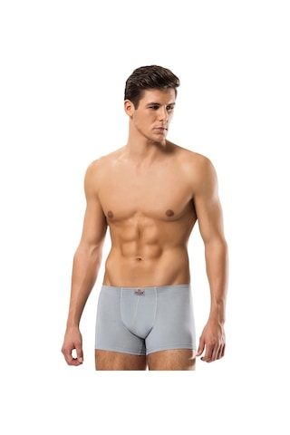 Erdem Erkek Boxer Pamuk Elastan 1420
