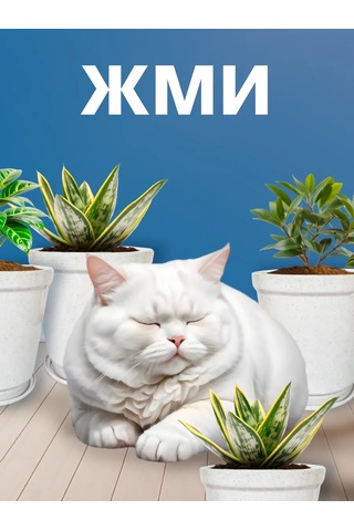 Galaopt Tabaklı Saksılar 1,5 L 5'li S 444572620