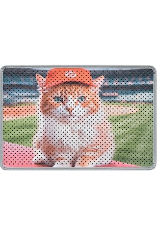 Kar Mat Kedi Tuvaleti Paspası Delikli Kedi Kumu Paspası Şapkalı