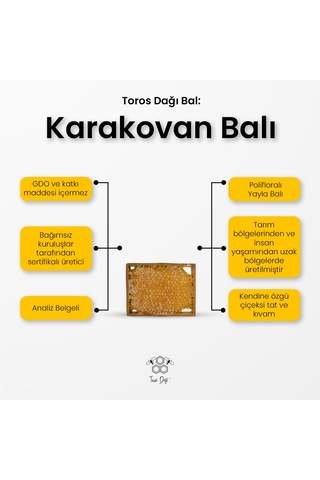 Toros Dağı Karakovan Balı 400 G