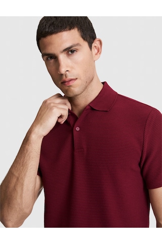 Pierre Cardin Erkek Bordo Tişört 50327875-vr014