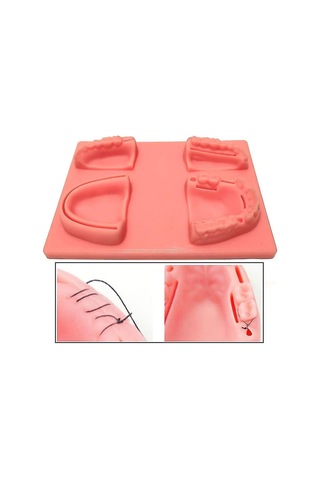 Suofeng Diş Hekimliği Dikiş Eğitim Seti - 4 Adet Yapay Diş Eti Modeli İle Pratik Yapma İmkanı