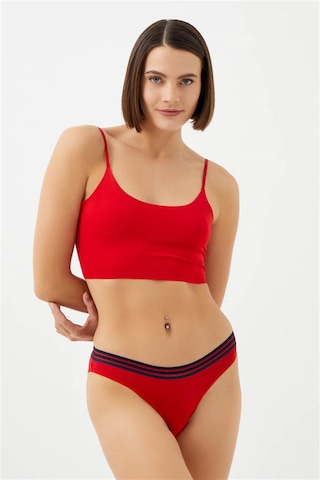 Cottonhill Spor Basic Pamuklu Bikini Külot 3'lü Paket - 3 Çok Renkli 2 Çok Renkli
