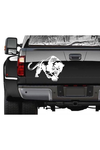 Vahşi Puma Kaplan Panter Sticker, Araba Oto Motosiklet Karavan Sticker 02519 15x11 Cm