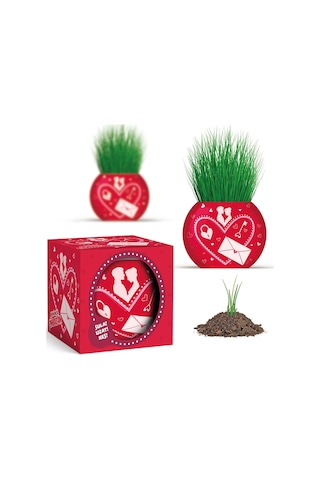 Yuup Aşk Temalı 6'lı Çim Adam Bitki Yetiştirme Seti Romantik Ve Eğlenceli Hediye