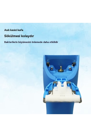 Kimbervücut Kıl Düzeltici Jilet Erkek Düzeltici Yeşil