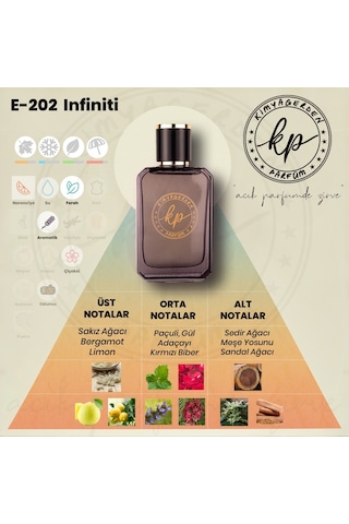 KP E-202 Erkek Parfüm EDP 50 ML