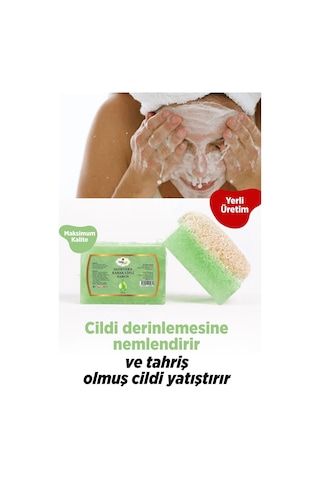 Tubalife Kabak Lifli Aloe Vera Sabunu 100 G